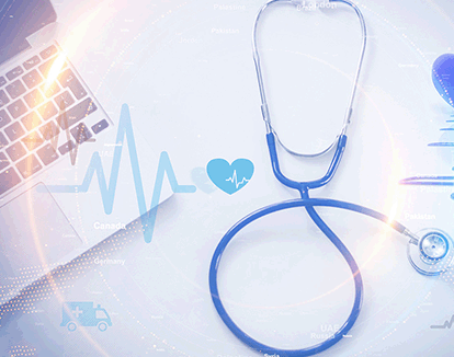 網上的花卉什么季節買合適