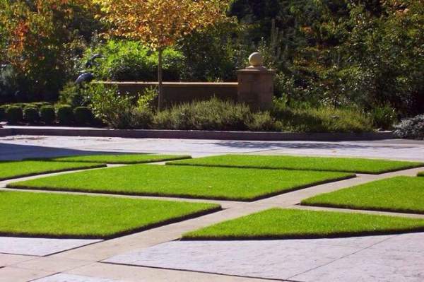 草坪設(shè)計應(yīng)用 草坪設(shè)計應(yīng)用