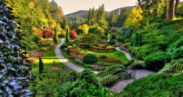 學(xué)習(xí)國外苗木行業(yè)經(jīng)驗，搶先了解國內(nèi)市場動態(tài)