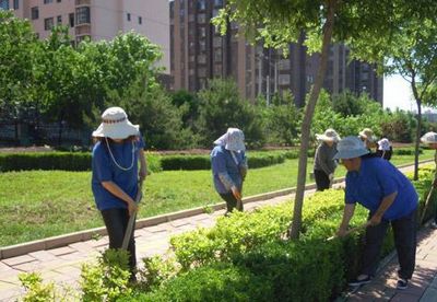 苗木施肥 苗木施肥