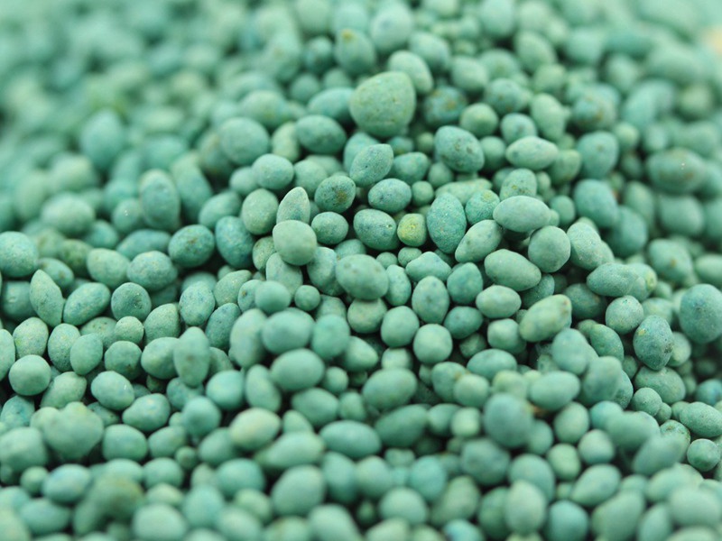 包衣帶殼狗牙根種子 包衣帶殼狗牙根種子