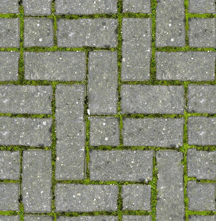 1647539713759791.jpg 1647539713759791.jpg