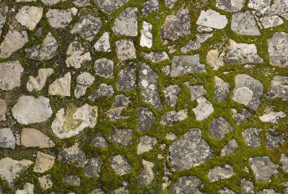 1647539713792715.jpg 1647539713792715.jpg