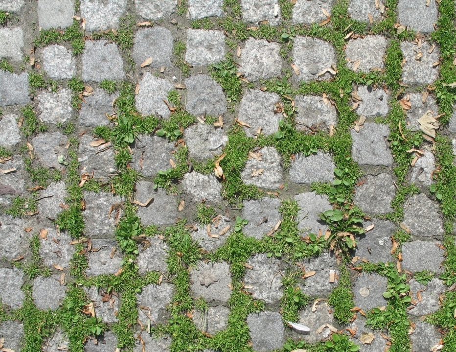 1647539713852664.jpg 1647539713852664.jpg