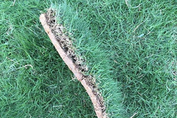 1647539826716951.jpg 1647539826716951.jpg