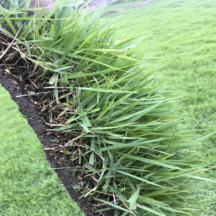 1647570044857390.jpg 1647570044857390.jpg