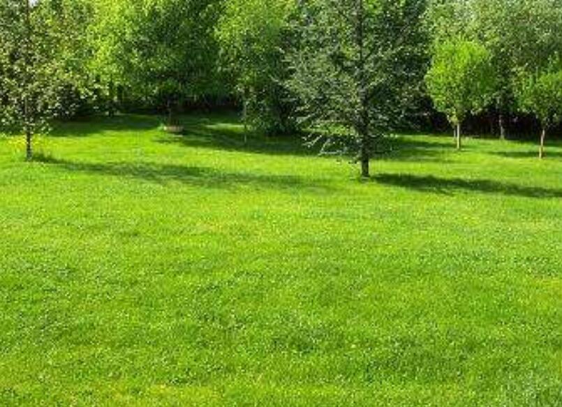 1647570252954310.jpg 1647570252954310.jpg