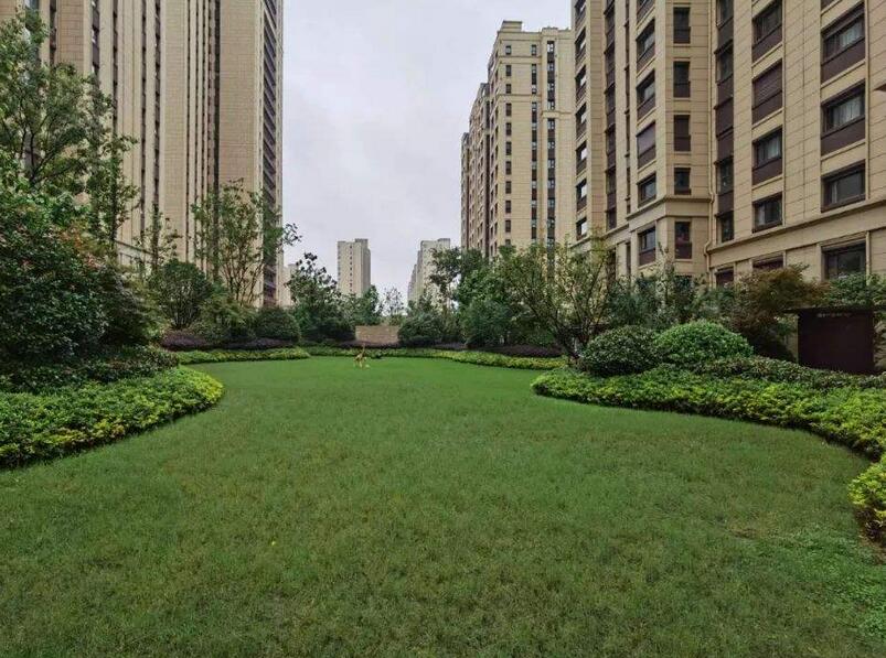 1647570252959026.jpg 1647570252959026.jpg