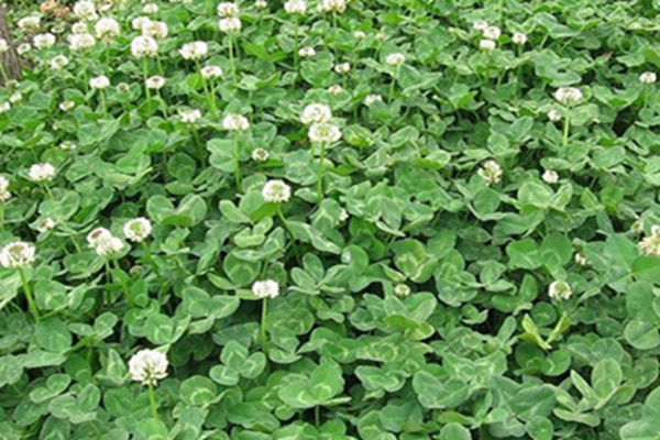 1647570897367485.jpg 1647570897367485.jpg