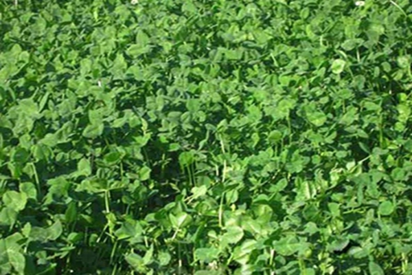 1647570897748134.jpg 1647570897748134.jpg