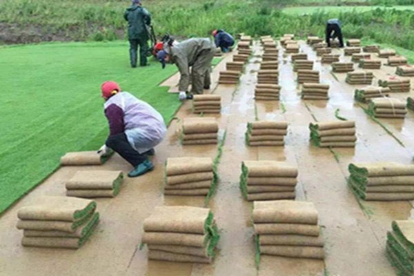 1647571191186032.jpg 1647571191186032.jpg