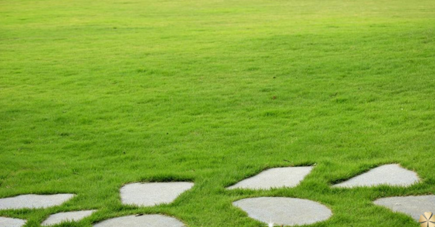 1647753720600161.png 1647753720600161.png