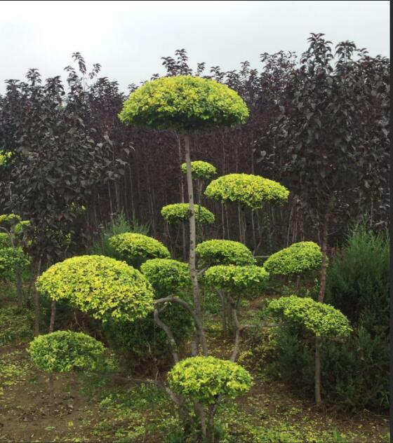 1648545568695536.jpg 1648545568695536.jpg