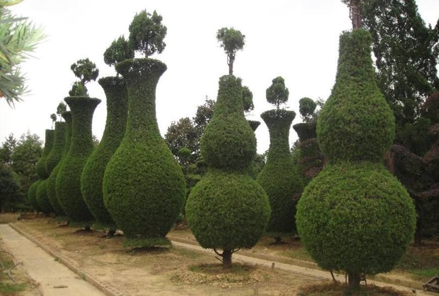 1648546287158332.jpg 1648546287158332.jpg