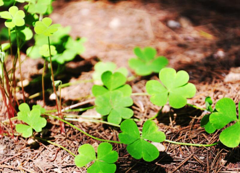 1651544641740015.jpg 1651544641740015.jpg