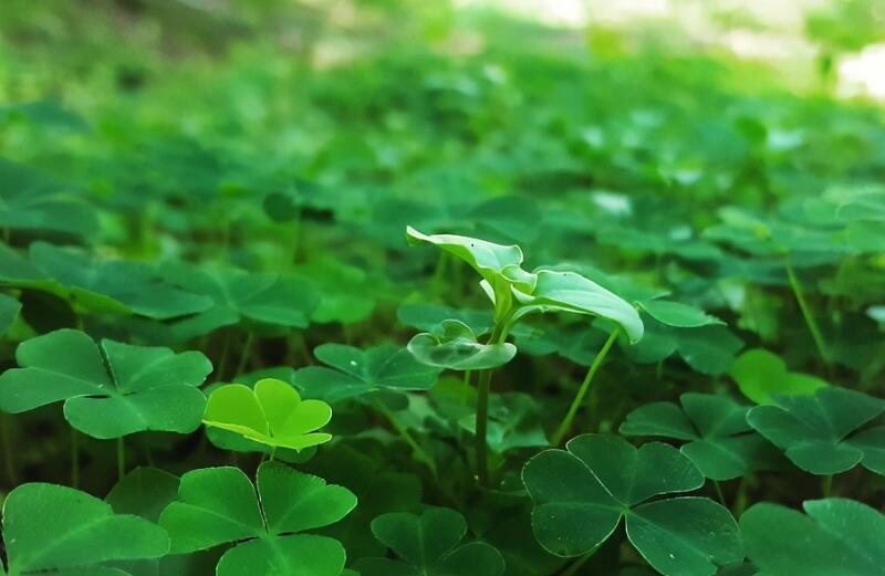 1651546796980678.jpg 1651546796980678.jpg