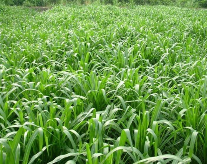 1652243615636214.jpg 1652243615636214.jpg