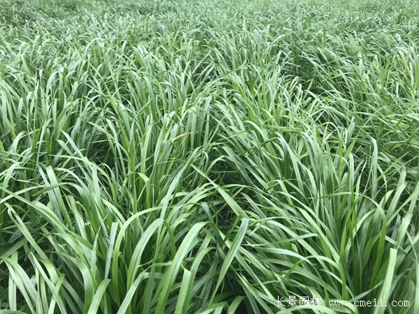 1659907038775022.jpg a6eb4e59d9318325e6b60161efc6319f_1-1ZZ51FG6316.jpg