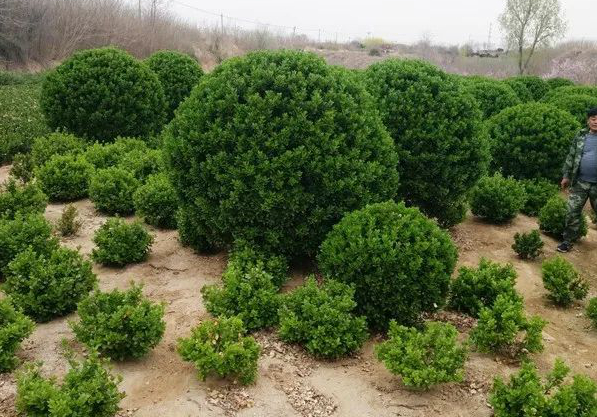 1673100742980599.jpg 微信圖片_20230107221031.jpg