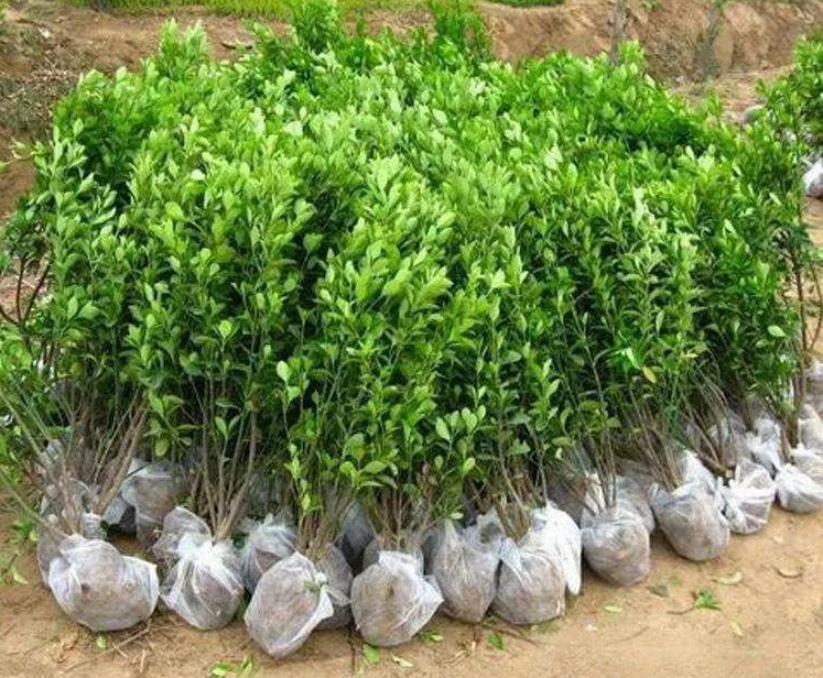 1673100748716665.jpg 微信圖片_20230107221046.jpg