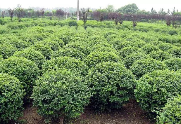 1673100754304142.jpg 微信圖片_20230107221118.jpg