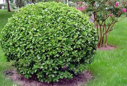 1673100760172103.jpg 微信圖片_20230107221123.jpg