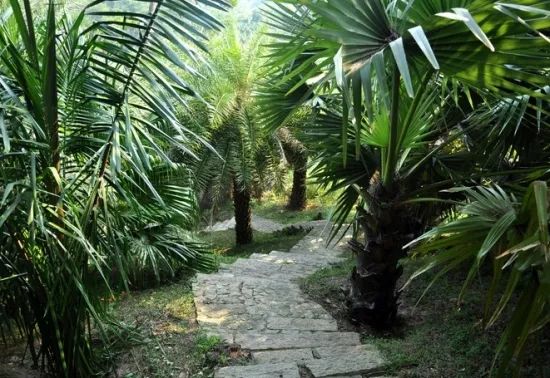 1673144707217873.jpg 微信圖片_20221029111918.jpg