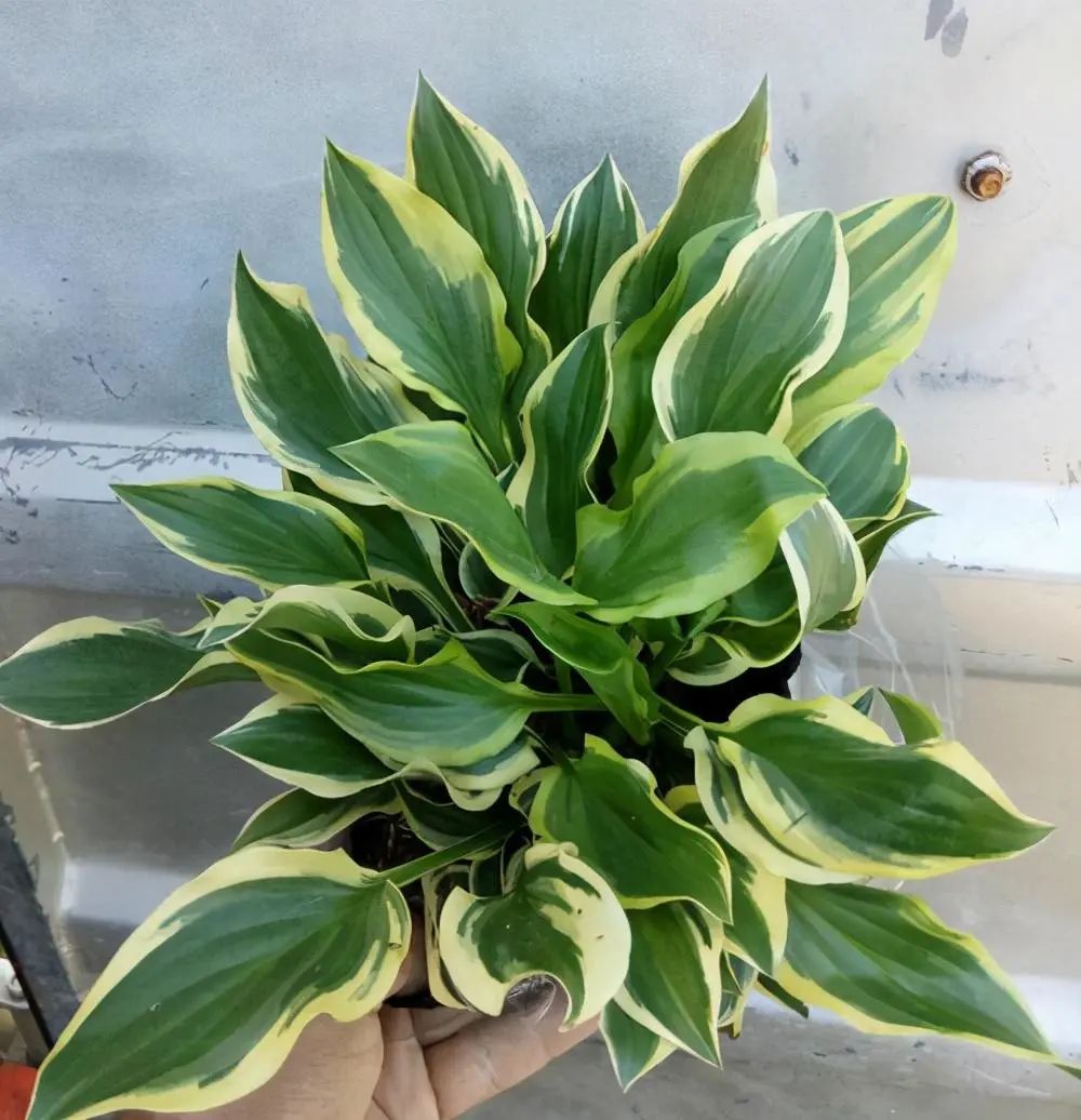 1673144911997296.jpg 微信圖片_20230108102753.jpg