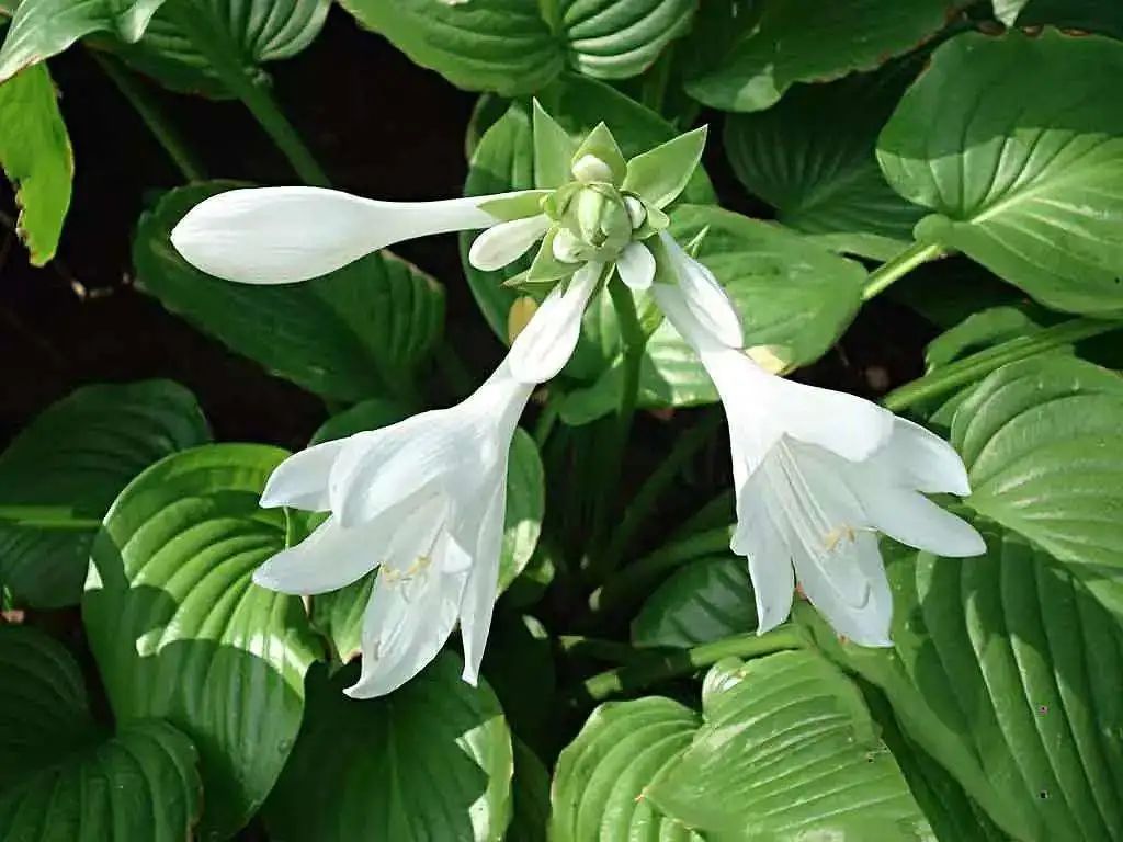 1673144917508886.jpg 微信圖片_20230108102803.jpg