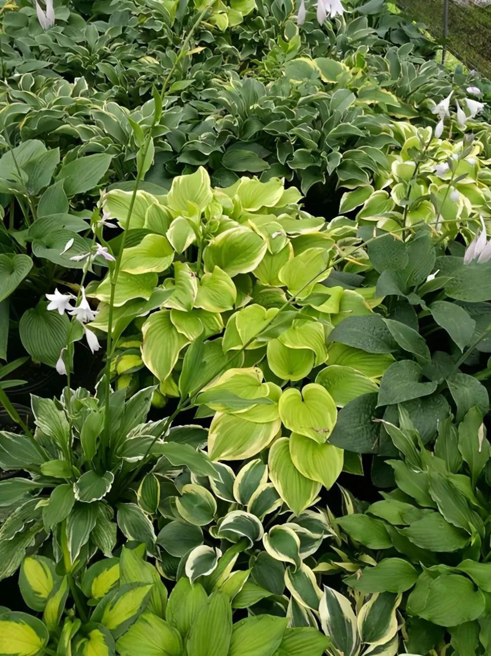 1673144924265134.jpg 微信圖片_20230108102806.jpg