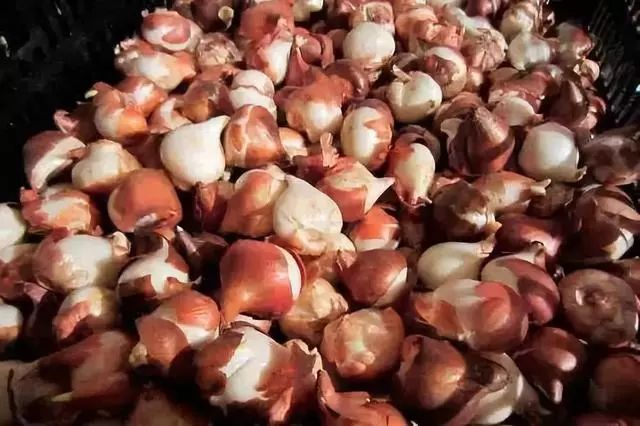 1673145119290825.jpg 微信圖片_20230108103138.jpg