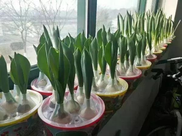 1673145127951579.jpg 微信圖片_20230108103141.jpg