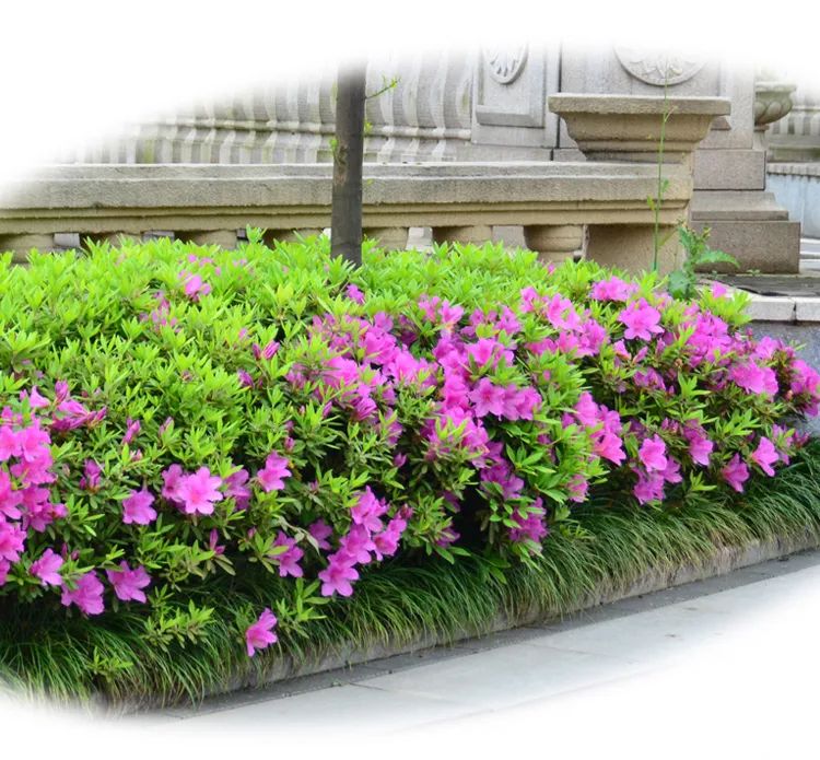 1673273949411308.jpg 微信圖片_20230108120503.jpg