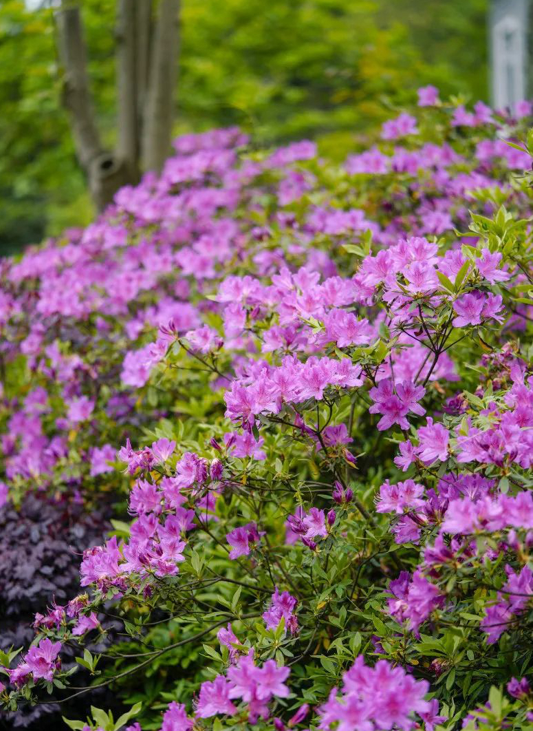 1673273960331138.jpg 微信圖片_20230108120528.jpg