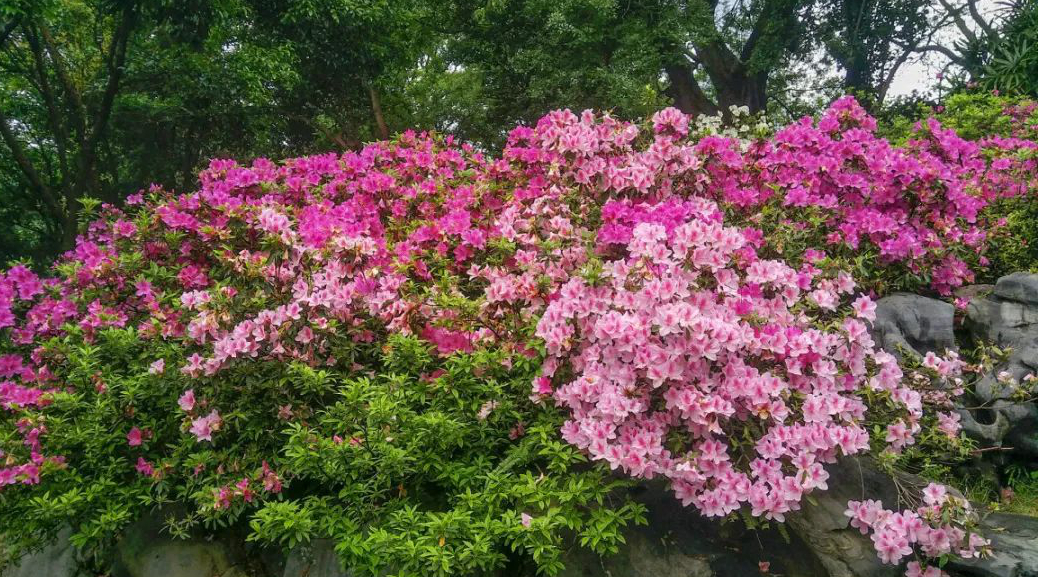 1673273970349242.jpg 微信圖片_20230108120538.jpg