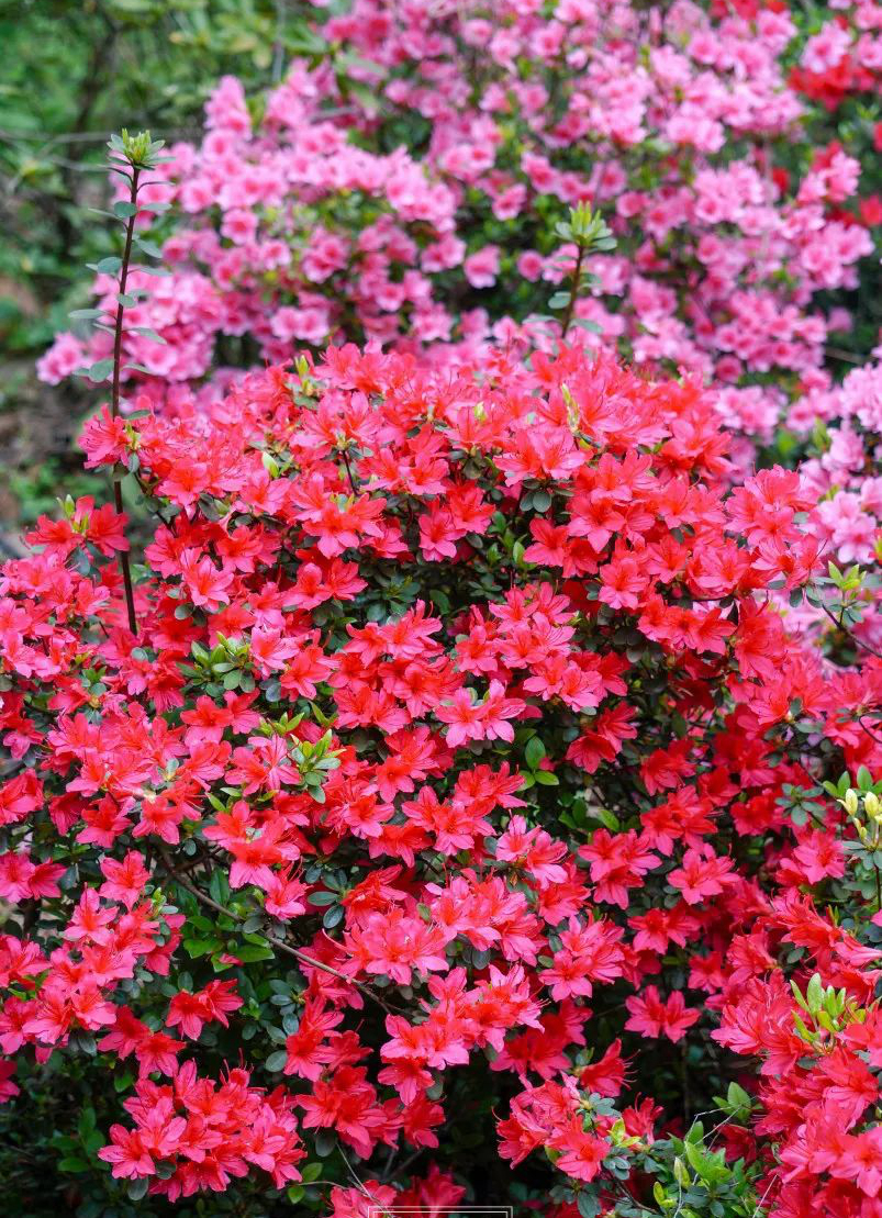 1673273976156414.jpg 微信圖片_20230108120546.jpg