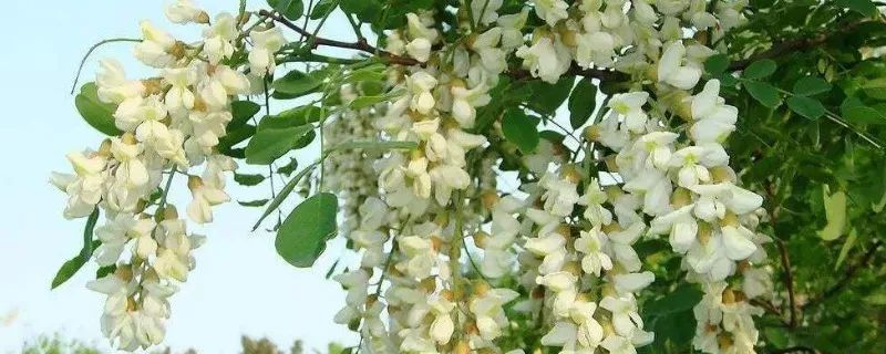 1673274141995391.jpg 微信圖片_20221025220229.jpg