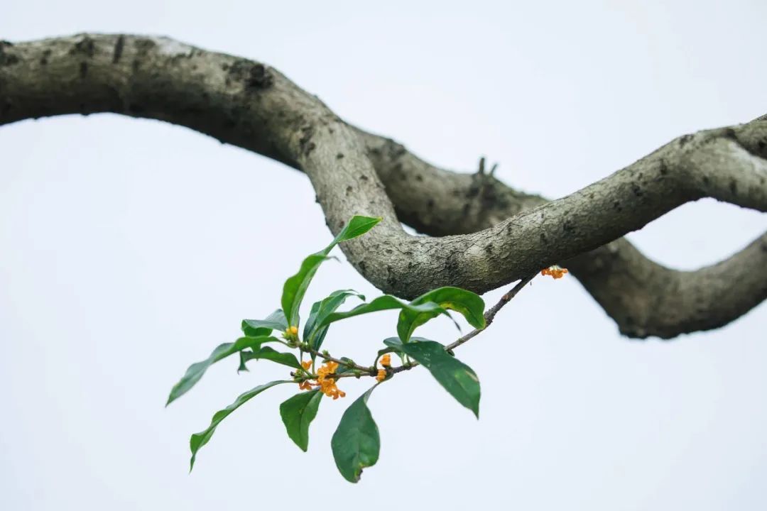 1673274156464121.jpg 微信圖片_20221026222420.jpg