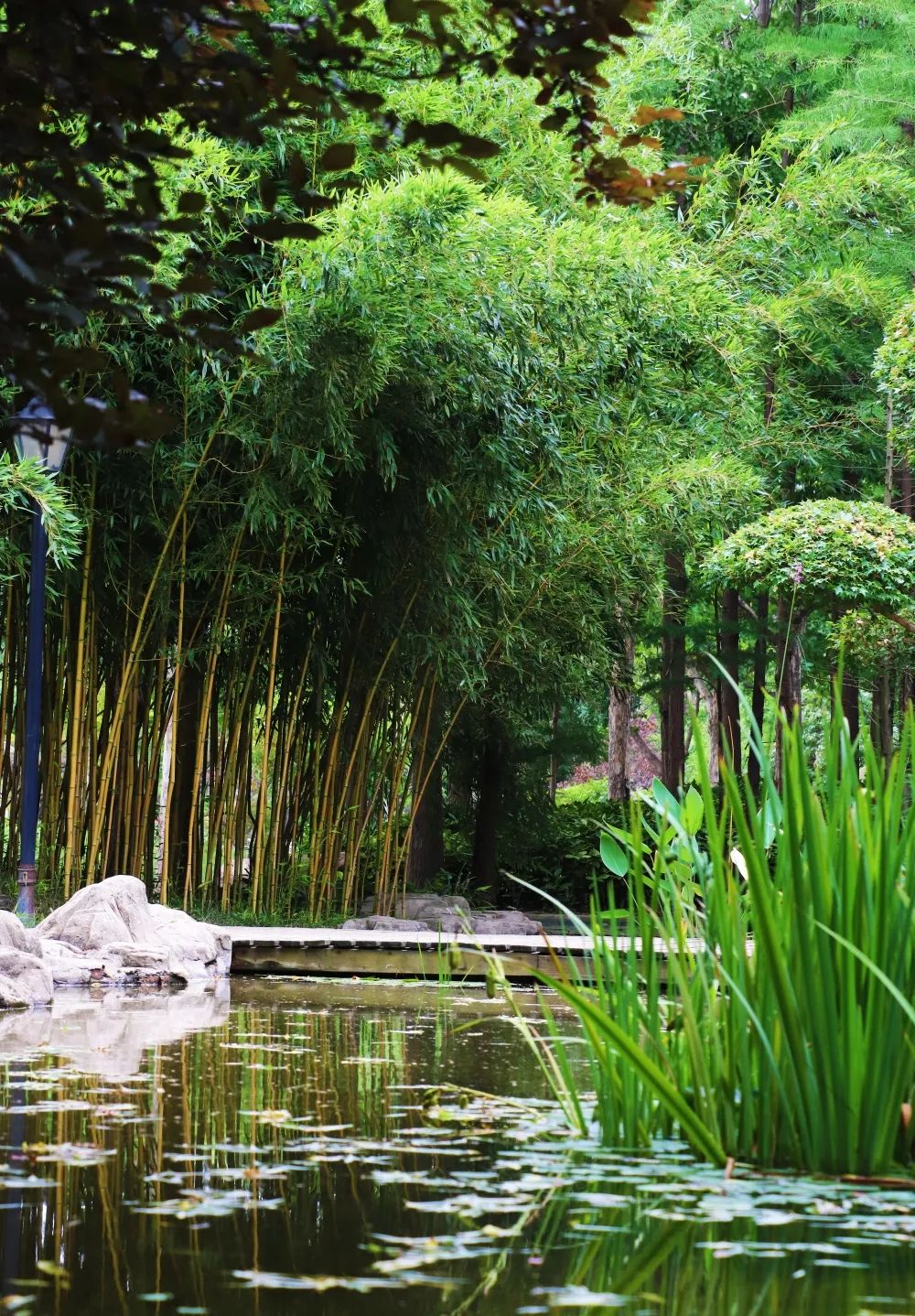 1673274173267124.jpg 微信圖片_20230107163355.jpg