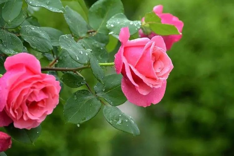 1673274245403006.jpg 微信圖片_20221126211640.jpg