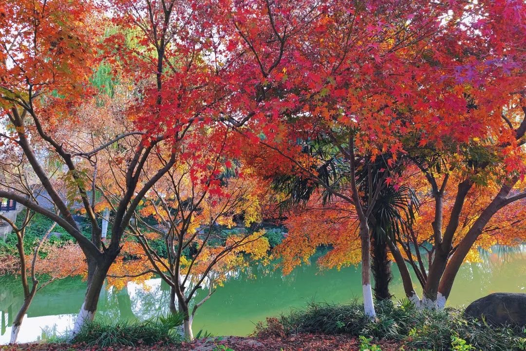 1673559341472271.jpg 微信圖片_20230112212513.jpg