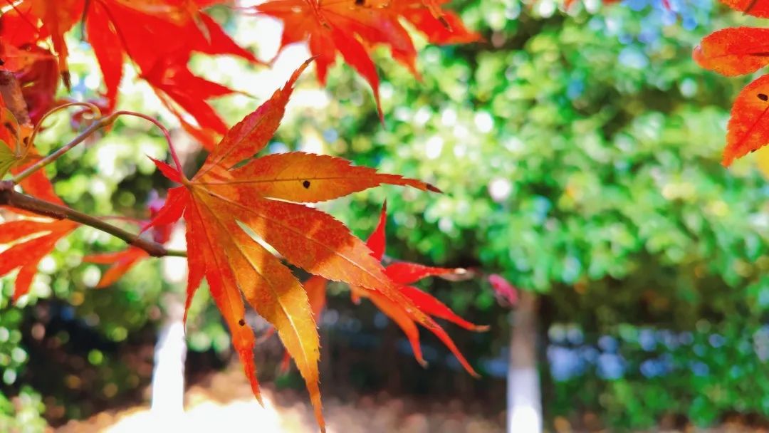 1673559353118606.jpg 微信圖片_20230112212503.jpg