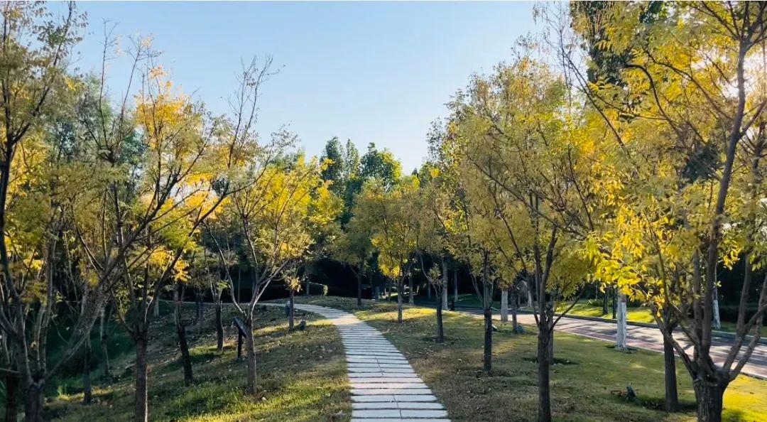 1673559476117112.jpg 微信圖片_20230113053710.jpg