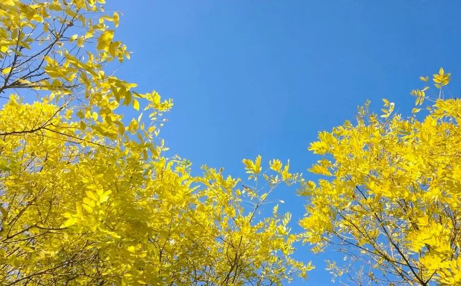 1673559590212089.jpg 微信圖片_20230113053728.jpg