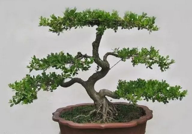 1674483190932724.jpg 微信圖片_20230112201358.jpg