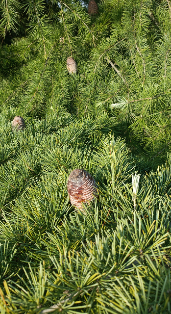 1674484427996599.png 微信圖片_20230111235355.png