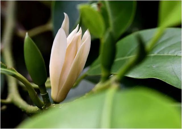 1674484855853013.jpg 微信圖片_20230112000111.jpg