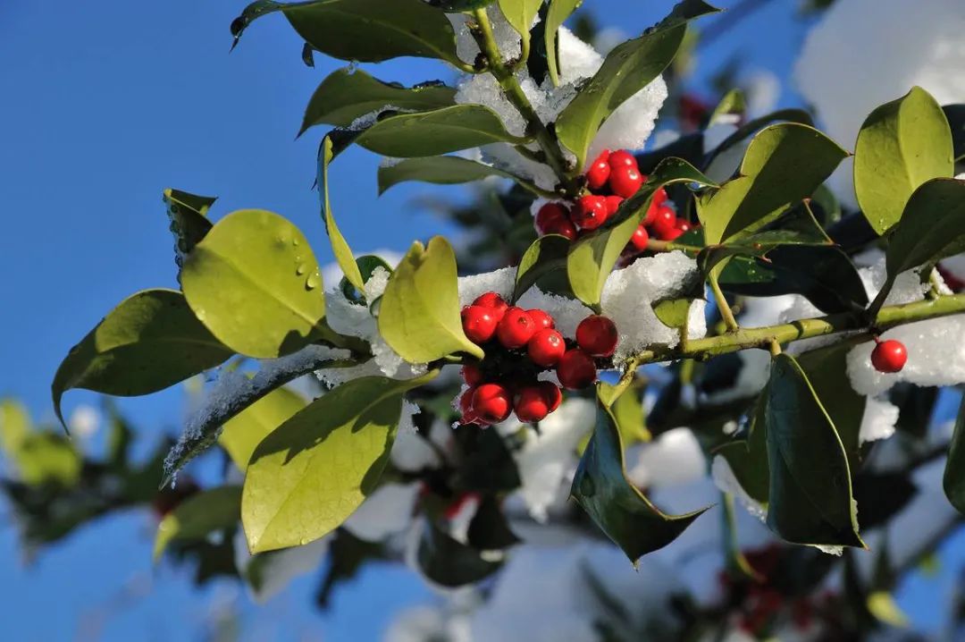 1675197862983872.jpg 微信圖片_20221125213746.jpg