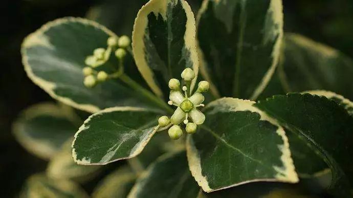 1675199287961532.jpg 微信圖片_20230201050703.jpg