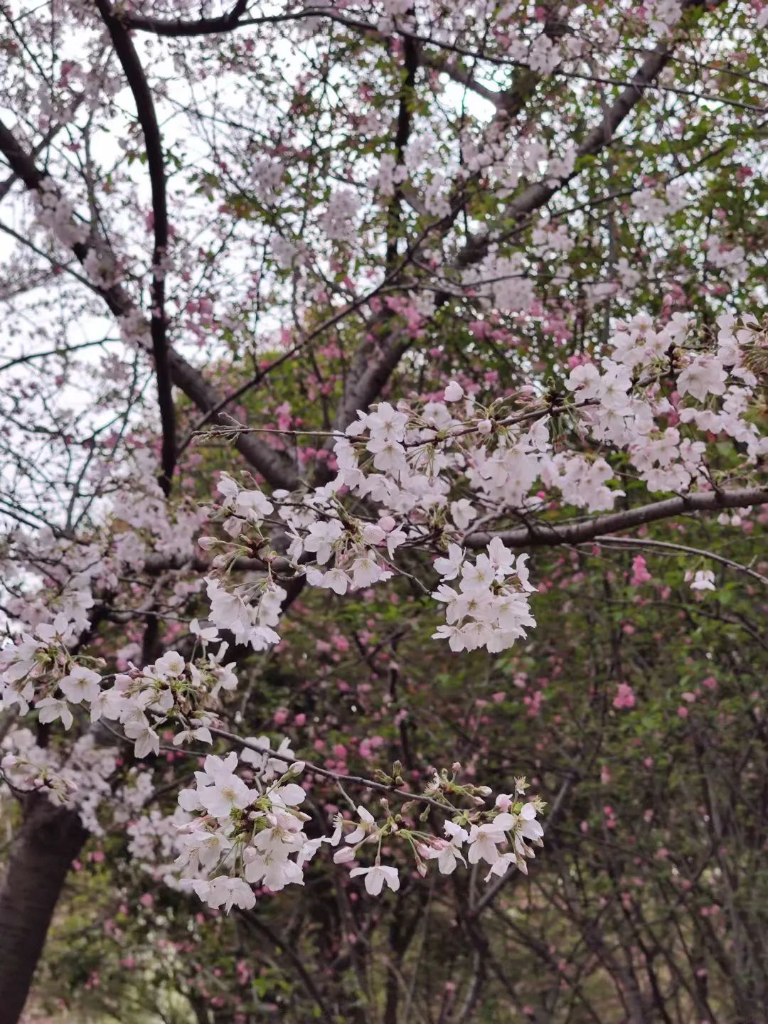 1675290953433876.jpg 微信圖片_20221101160203.jpg